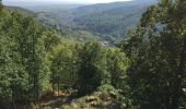 Percorso Altra attività Andlau - Chateaux d'Andlau et Spesbourg - Photo 1