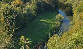 Randonnée Marche Chiny - paddestoelwandeling - Photo 12