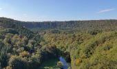 Randonnée Marche Chiny - paddestoelwandeling - Photo 10