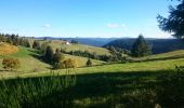 Tocht Stappen La Bresse - De L'auberge des Alisiers à la Piquante Pierre  - Photo 3