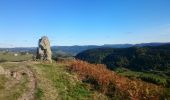 Tocht Stappen La Bresse - De L'auberge des Alisiers à la Piquante Pierre  - Photo 2