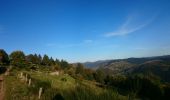 Tocht Stappen La Bresse - De L'auberge des Alisiers à la Piquante Pierre  - Photo 1