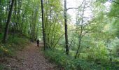 Trail Walking Cerfontaine - Balade au village de la source de l'eau d'Heure Cerfontaine - Photo 5