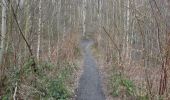 Trail Walking Raismes - Circuit du Terril de Sabatier - Photo 2
