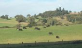 Tocht Stappen Golinhac - golinhac - conques - Photo 12