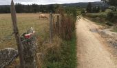 Trail Walking Peyre en Aubrac - Aumont Aubrac - Nasbinal - Photo 18