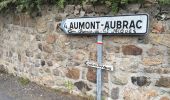 Trail Walking Peyre en Aubrac - Aumont Aubrac - Nasbinal - Photo 11