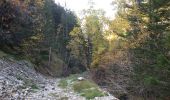 Trail Walking Saint-Maurice-en-Valgodemard - .Chalets de Prenticq. (11-10-15- - Photo 7