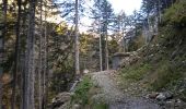 Trail Walking Saint-Maurice-en-Valgodemard - .Chalets de Prenticq. (11-10-15- - Photo 6