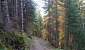 Trail Walking Saint-Maurice-en-Valgodemard - .Chalets de Prenticq. (11-10-15- - Photo 5