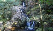 Trail Walking Sapois - De Sapois à Vagney par la cascade du saut du Bouchot - Photo 5