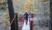 Trail Walking Turriers - douce Turriers - Photo 1