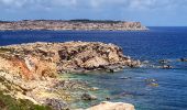 Tocht Stappen Il-Mellieħa - Boucle d'Mgiebah Bay par Selmun Palace - Photo 6