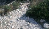 Trail Walking Marseille - Boucle des 3 calanques - Photo 4