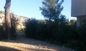 Trail Walking Cassis - boucle calanques de Cassis - Photo 20