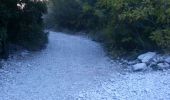 Trail Walking Cassis - boucle calanques de Cassis - Photo 11