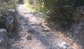 Trail Walking Cassis - boucle calanques de Cassis - Photo 10