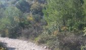 Trail Walking Cassis - boucle calanques de Cassis - Photo 7