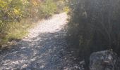 Trail Walking Cassis - boucle calanques de Cassis - Photo 6