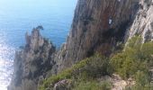 Trail Walking Cassis - boucle calanques de Cassis - Photo 5