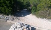 Trail Walking Cassis - boucle calanques de Cassis - Photo 2