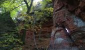 Excursión Marcha nórdica Haspelschiedt - haspelscheidt au rocher de roppeviller - Photo 5