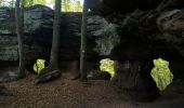 Excursión Marcha nórdica Haspelschiedt - haspelscheidt au rocher de roppeviller - Photo 4