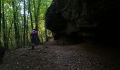 Excursión Marcha nórdica Haspelschiedt - haspelscheidt au rocher de roppeviller - Photo 3