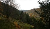 Tocht Mountainbike La Bresse - face couarou - Photo 1