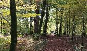 Trail Walking Bazincourt-sur-Saulx - bazincourt n18 18a - Photo 4