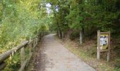 Trail Walking Houffalize - Blancs Bois - Photo 4