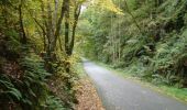 Trail Walking Houffalize - Blancs Bois - Photo 3