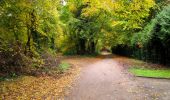 Trail Walking Coyolles - en foret de Retz_ 40_Vaumoise_les bruyères de Gondreville_Chavres_AR - Photo 1