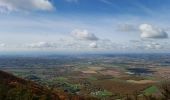 Tocht Stappen La Baume-d'Hostun - les crêtes de belcombe - Photo 1