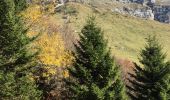 Tour Andere Aktivitäten Plateau-des-Petites-Roches - dent de crolles  - Photo 6