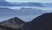 Randonnée Autre activité Plateau-des-Petites-Roches - dent de crolles  - Photo 5