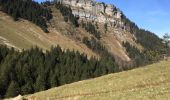 Tour Andere Aktivitäten Plateau-des-Petites-Roches - dent de crolles  - Photo 4