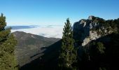 Trail Walking Entremont-le-Vieux - Le granier par la balme et retour par les barres - Photo 5