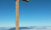 Tocht Stappen Entremont-le-Vieux - Le granier par la balme et retour par les barres - Photo 3