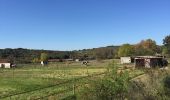 Tour Wandern Congénies - Congéniès et environs - Photo 4