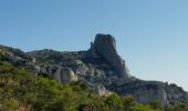 Trail Walking Marseille - tour du mont puget par le vallon de l'herbe - Photo 2