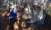 Trail Mountain bike Sprimont - 20151101 Betgné - Photo 4
