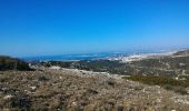 Tour Rollerblading Marseille - mont puget - Photo 1