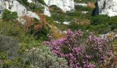 Tour Rollerblading Marseille - mont puget - Photo 4