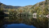 Tour Wandern Rimbach bei Masmünster - le lac de neuweiher - Photo 4