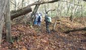 Trail Walking Le Mesnil-Saint-Denis - rando du 05/11/2015 - Photo 11