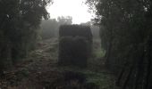 Tour Wandern Saint-Bonnet-du-Gard - ST Bonnet AR par Pont du Gard et Grotte de Sartanette - Photo 1