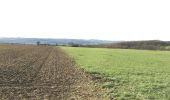 Tour Wandern Kleinblittersdorf - Le long de la frontière et de la Blies - Photo 8