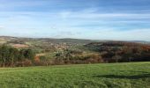 Tocht Stappen Kleinblittersdorf - Le long de la frontière et de la Blies - Photo 4