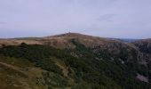 Trail Walking La Bresse - Le sentier des névés du Kastelberg - Photo 2